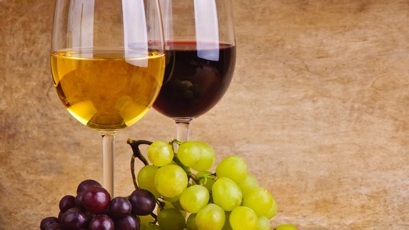 Weinseminar mit Tasting im Weinhaus Beck Tübingen
